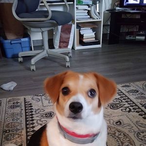 Meet your Posher, Gina